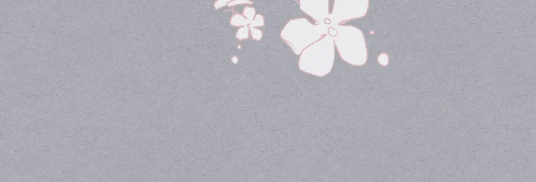 《女骑士的爱慕者们》第三季完结篇 参加武斗会 第16页