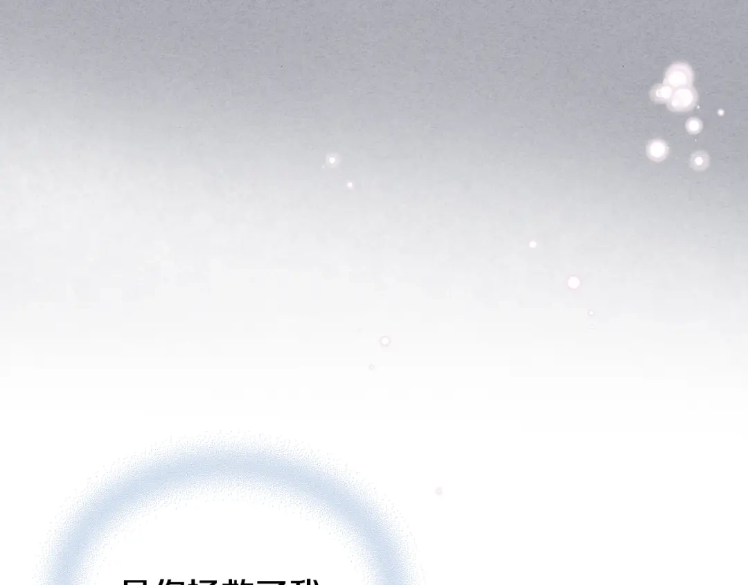 《女骑士的爱慕者们》第三季完结篇 参加武斗会 第71页