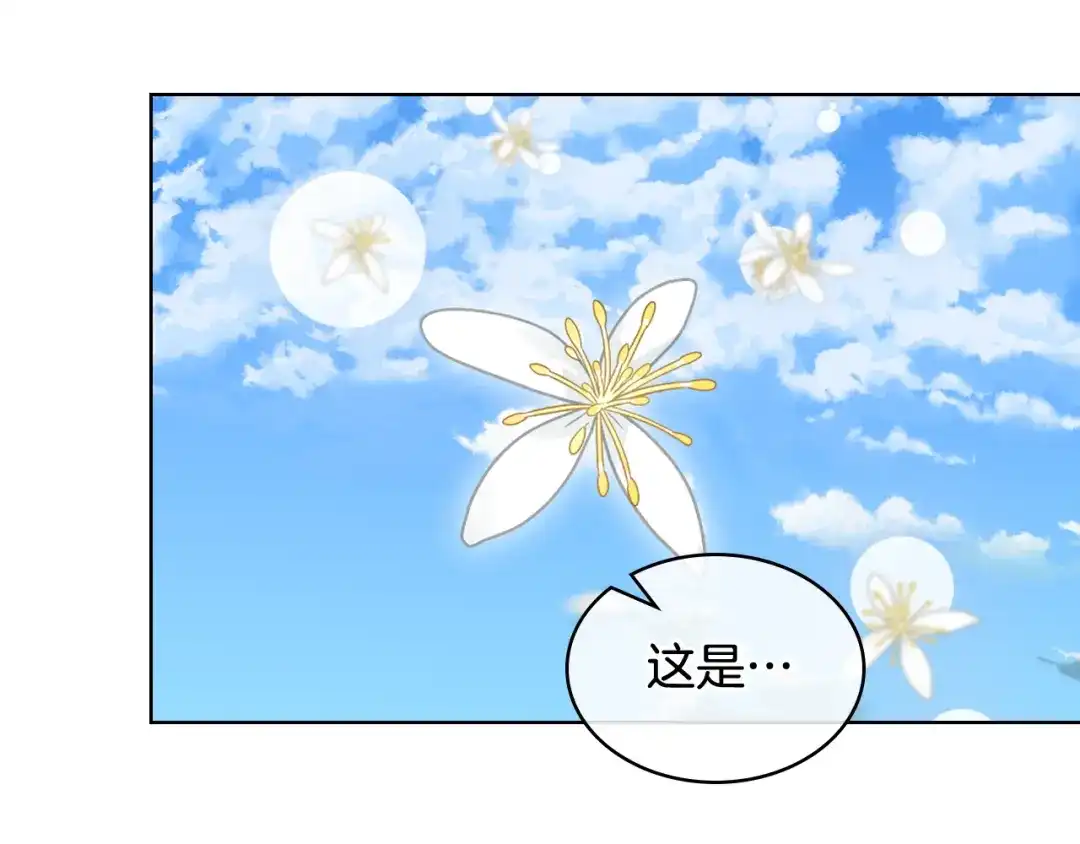 《女骑士的爱慕者们》第三季完结篇 参加武斗会 第105页