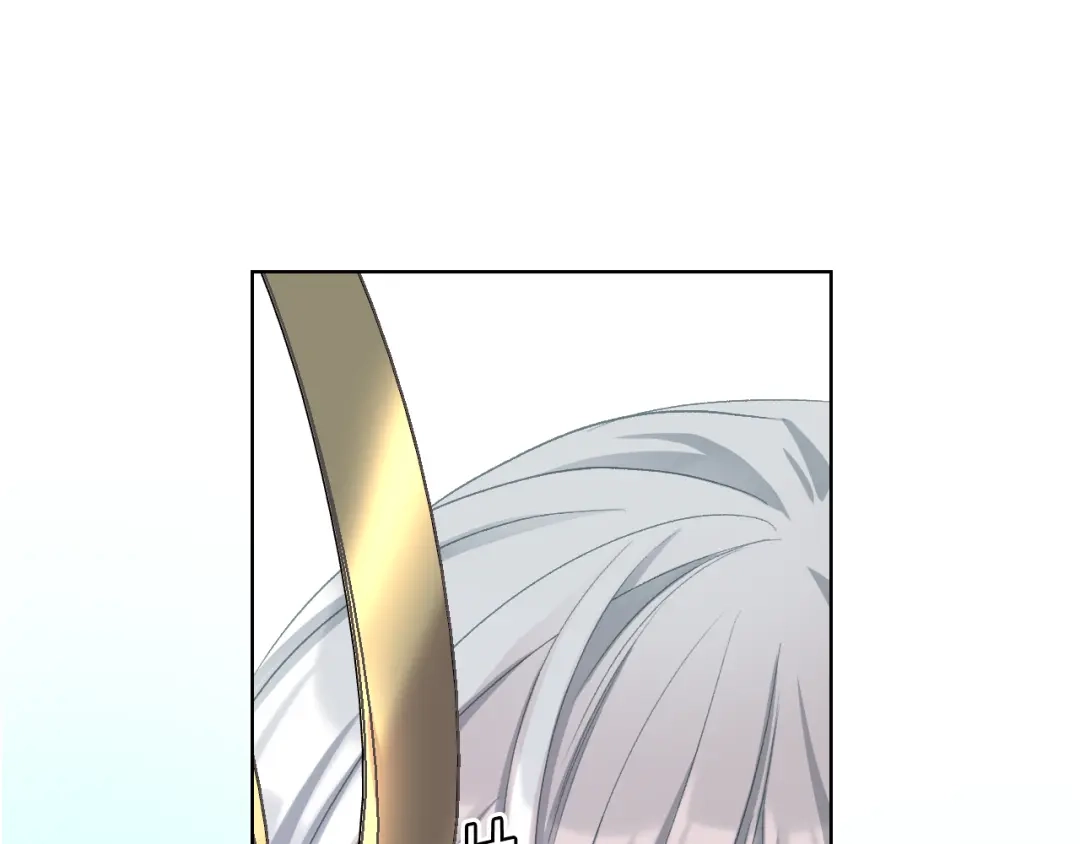 《女骑士的爱慕者们》第三季完结篇 参加武斗会 第52页