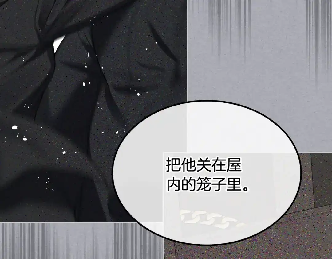 《女骑士的爱慕者们》第95话 决赛开始 第50页