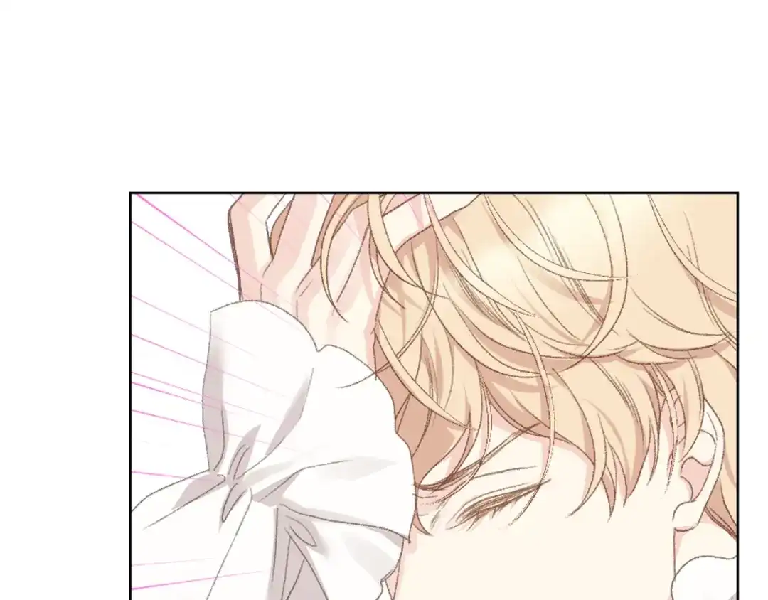 《女骑士的爱慕者们》第95话 决赛开始 第104页