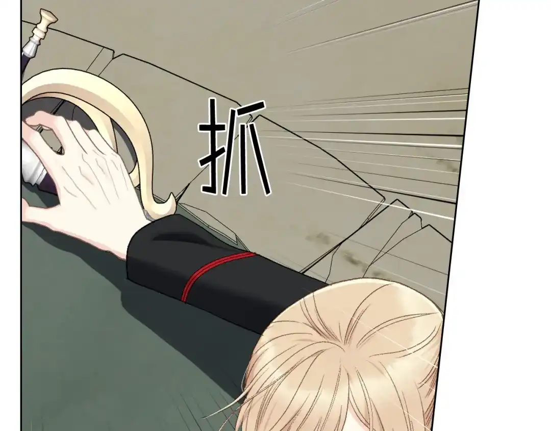 《女骑士的爱慕者们》第96话 武斗会冠军 第91页
