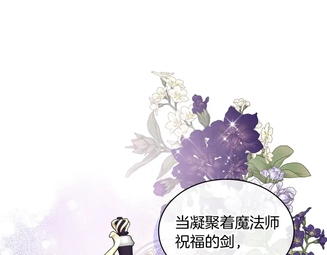 《女骑士的爱慕者们》第97话 守护之剑显现 第10页
