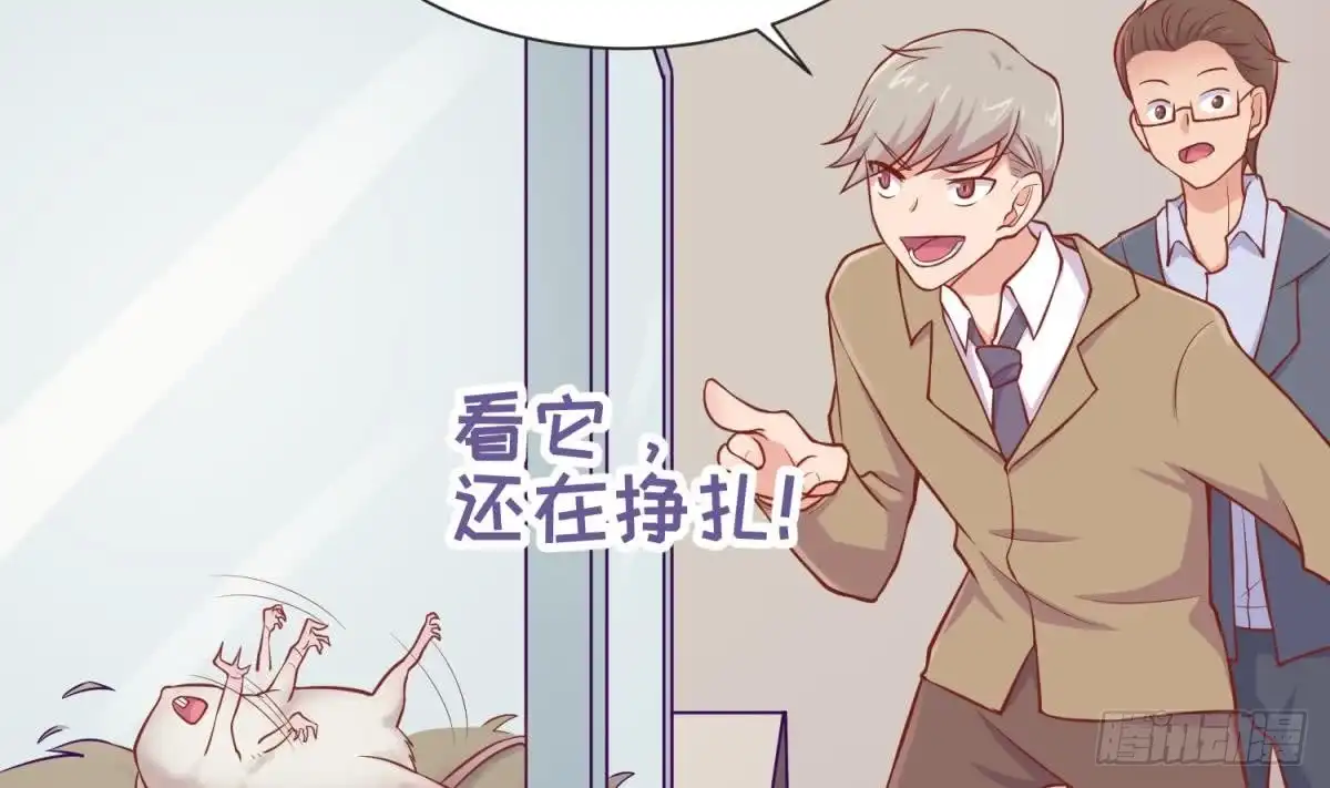 女神的私人医生 第97话 跨国医斗 第52页