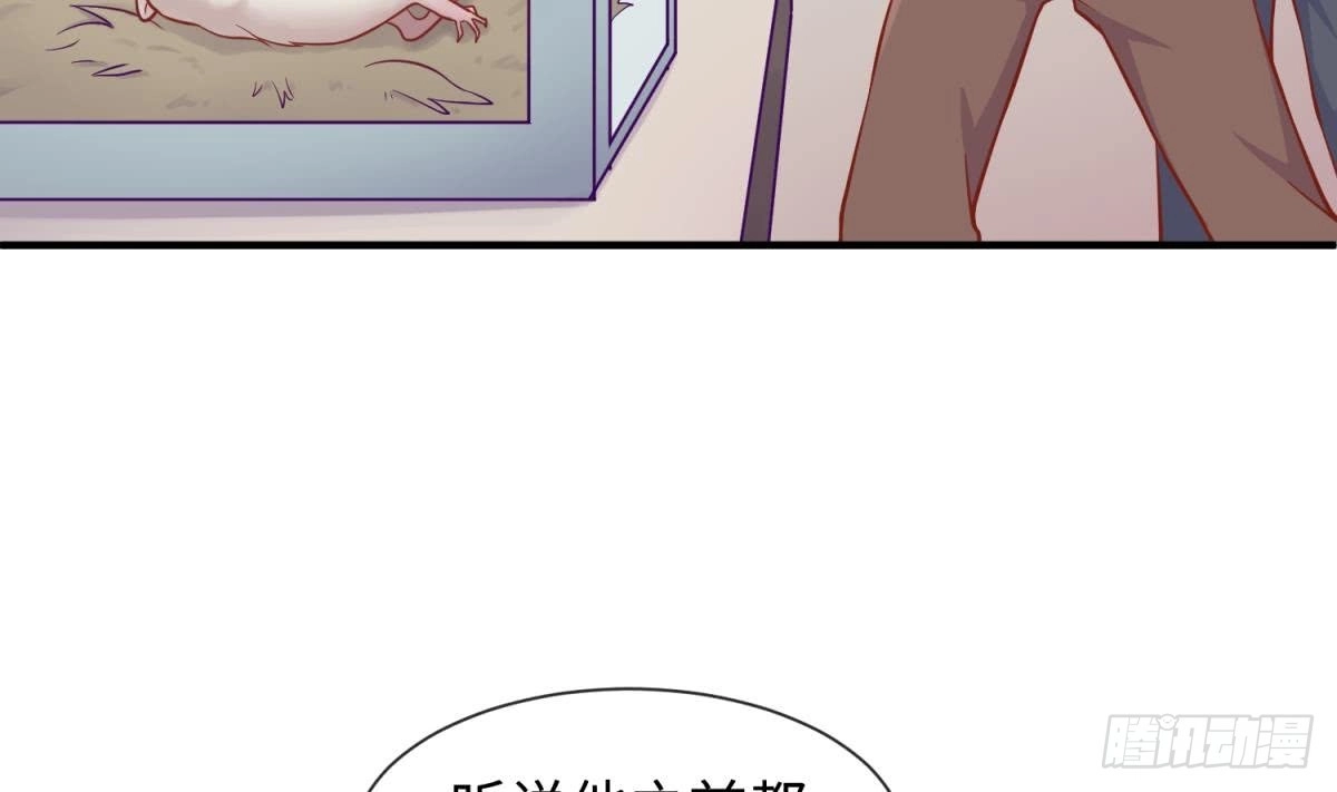 女神的私人医生 第97话 跨国医斗 第53页