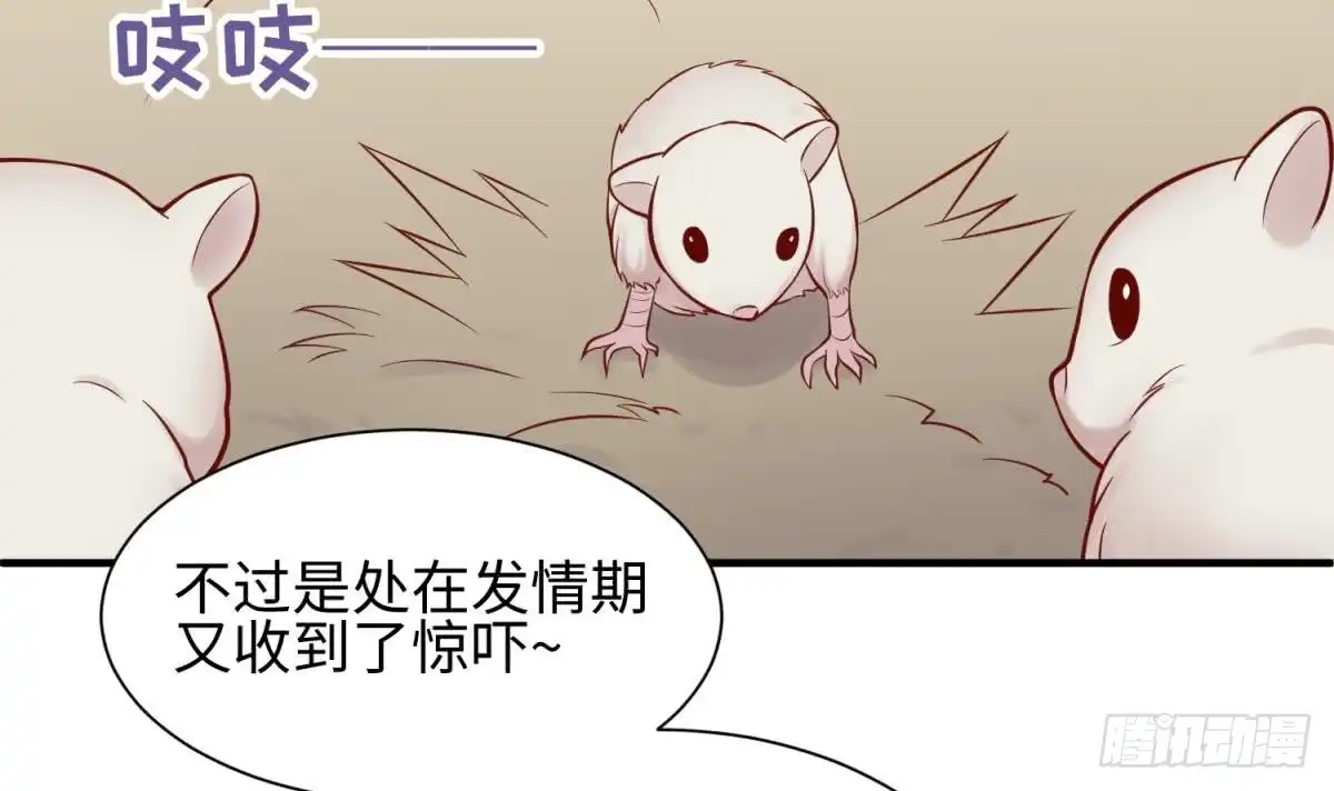 女神的私人医生 第97话 跨国医斗 第57页