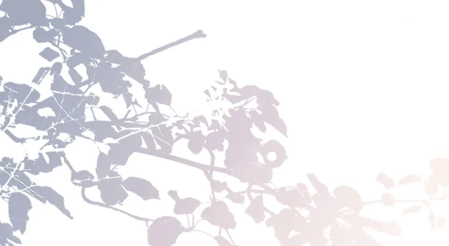 《女首富之娇宠摄政王》第11话 真假姐夫 第45页