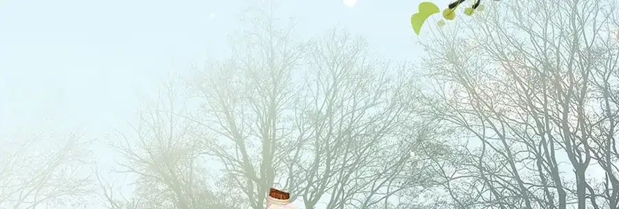 《女首富之娇宠摄政王》第19话 归家遇险 第41页