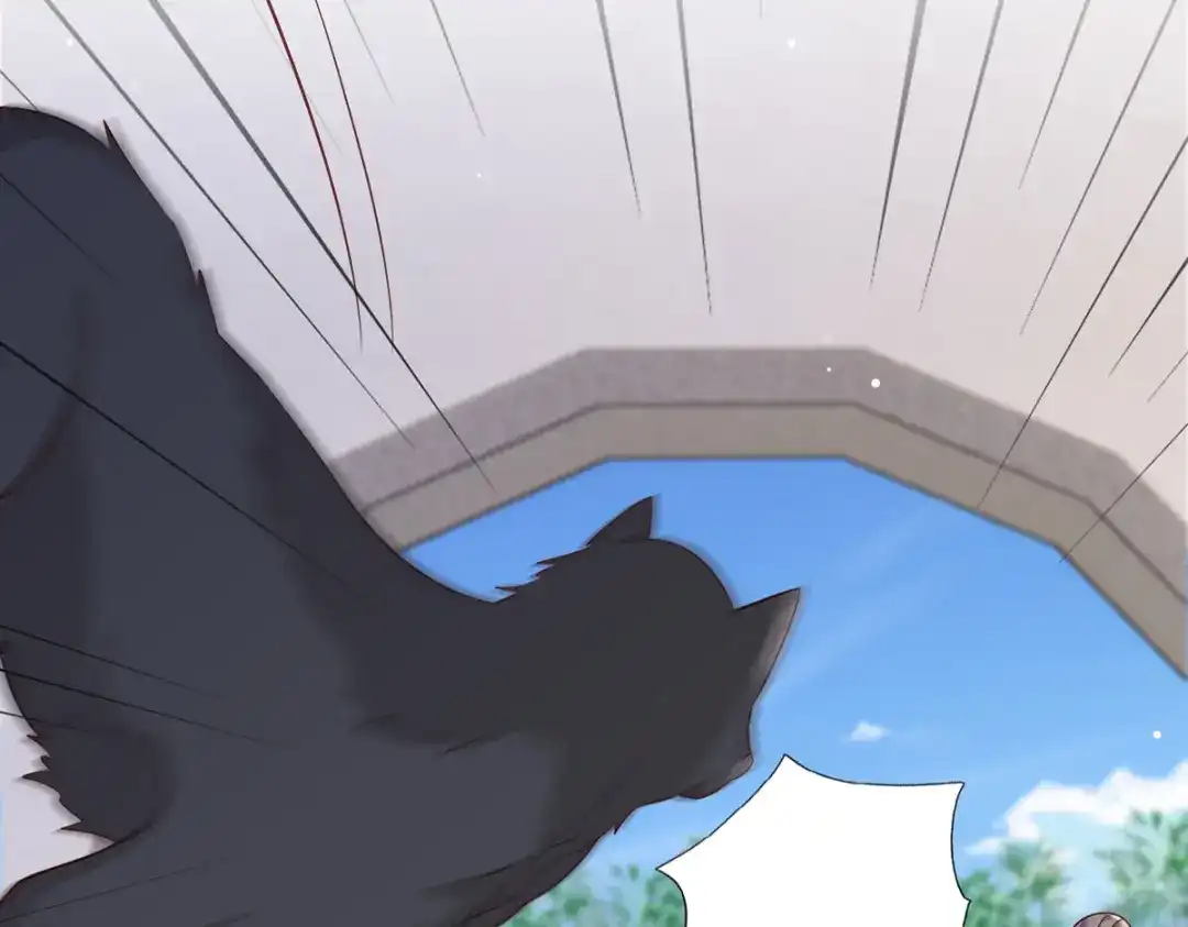 《女首富之娇宠摄政王》第83话 寿宴遇险 第51页