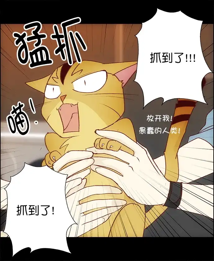女友比我帅 [第99话] 抓到了！ 第20页