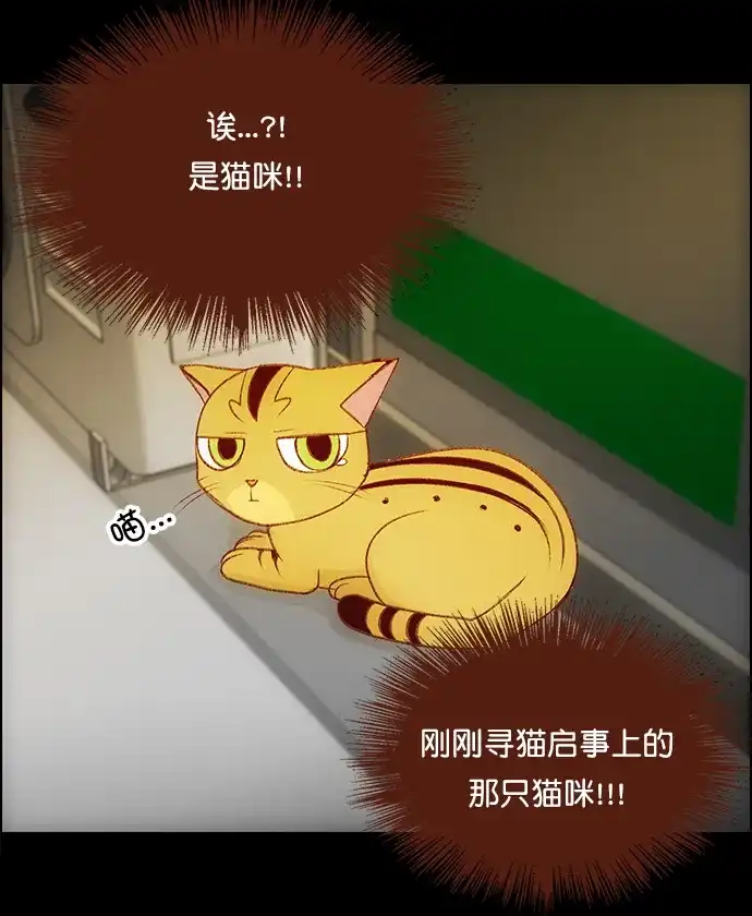女友比我帅 [第99话] 抓到了！ 第18页