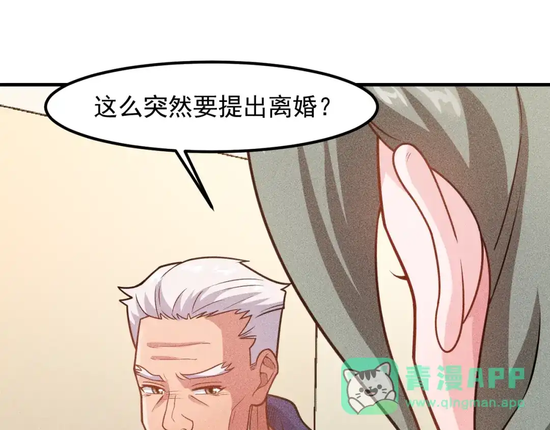 女总裁的贴身高手 第148话 我们离婚吧 第16页