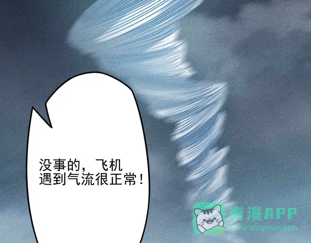 女总裁的贴身高手 第150话 飞机出事 第76页