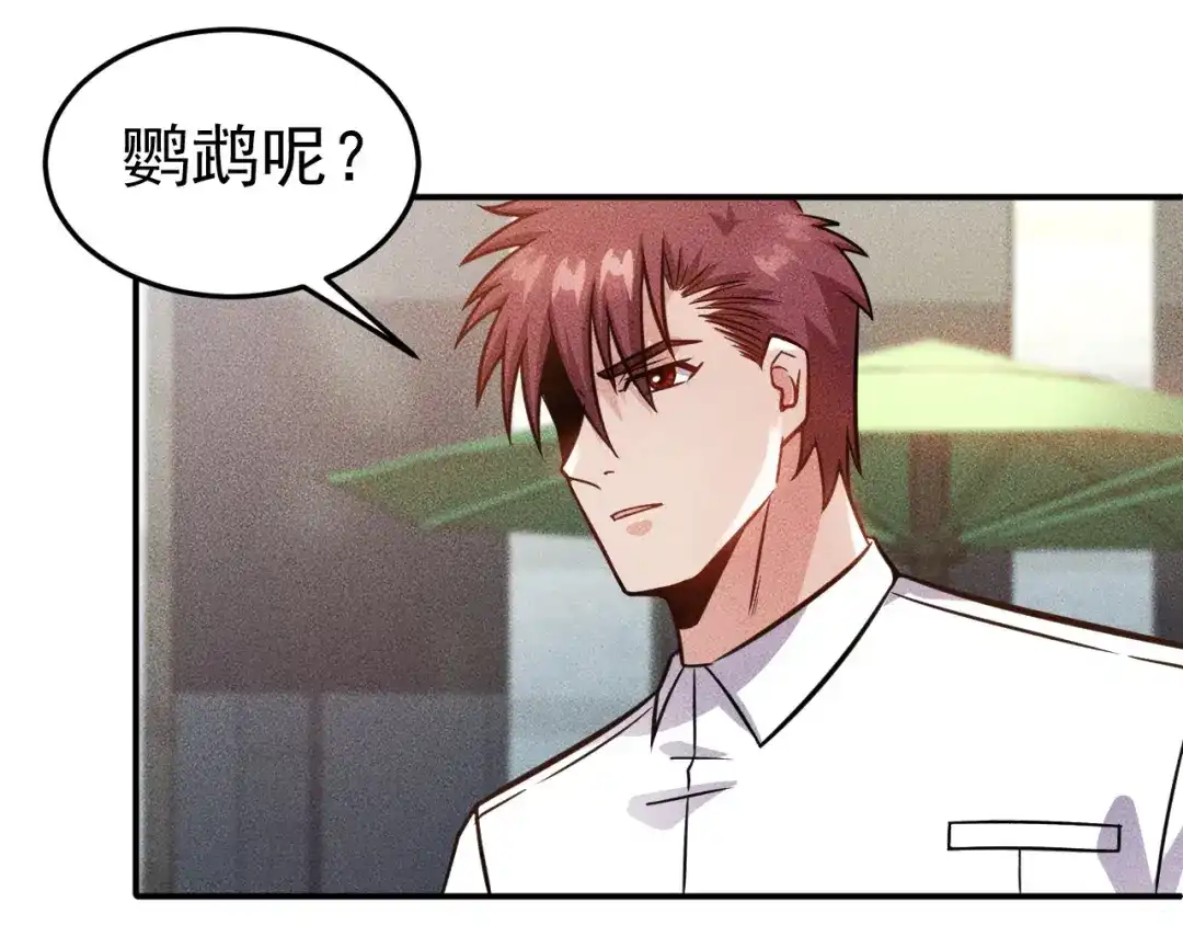 女总裁的贴身高手 第49话 美女主持人 第14页
