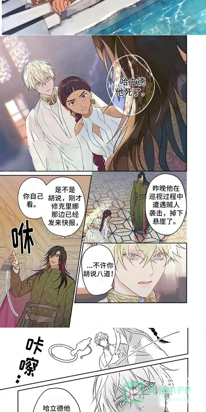 《欧米伽王后》第11话 第6页