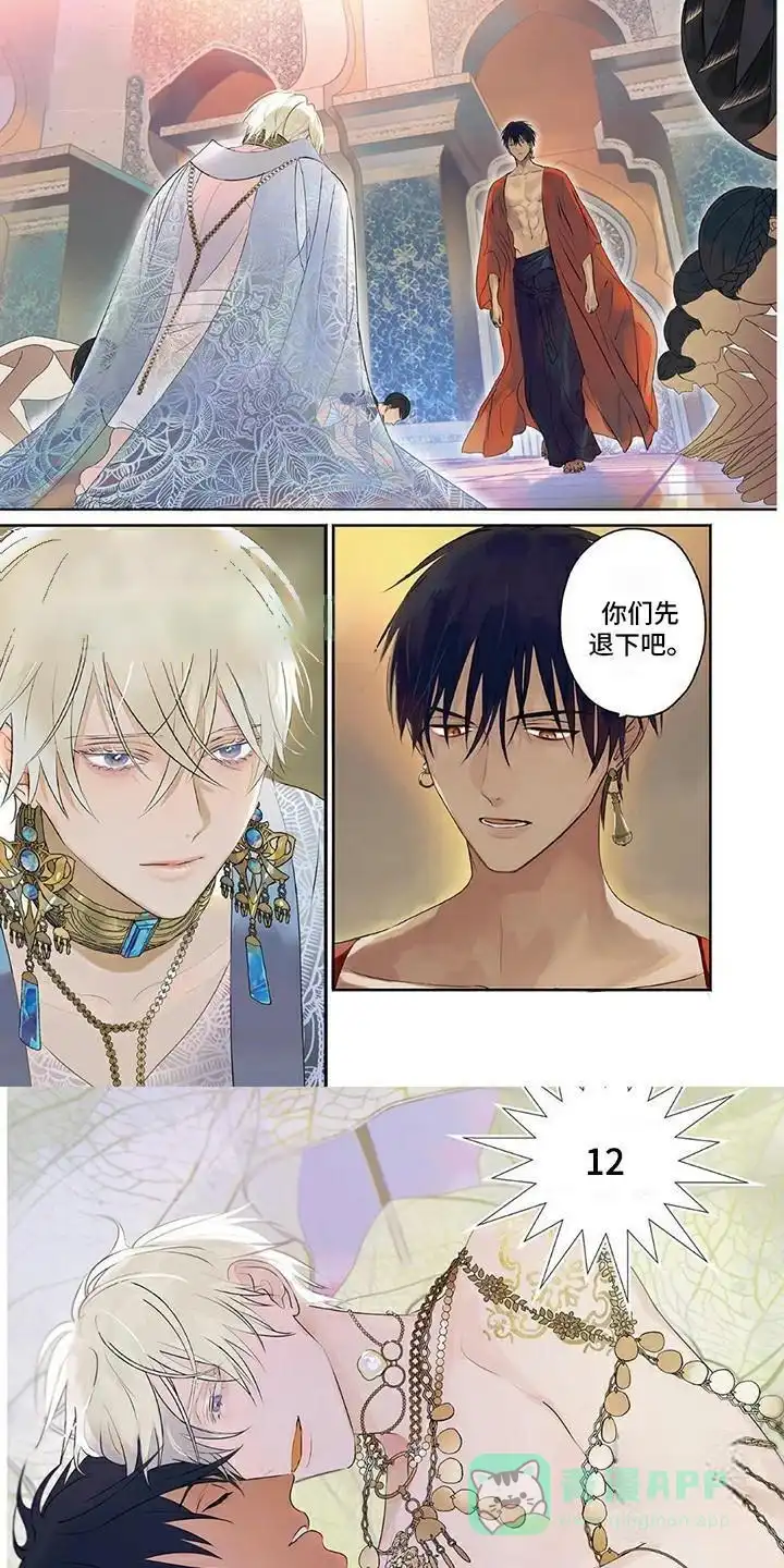 《欧米伽王后》第37话 第6页