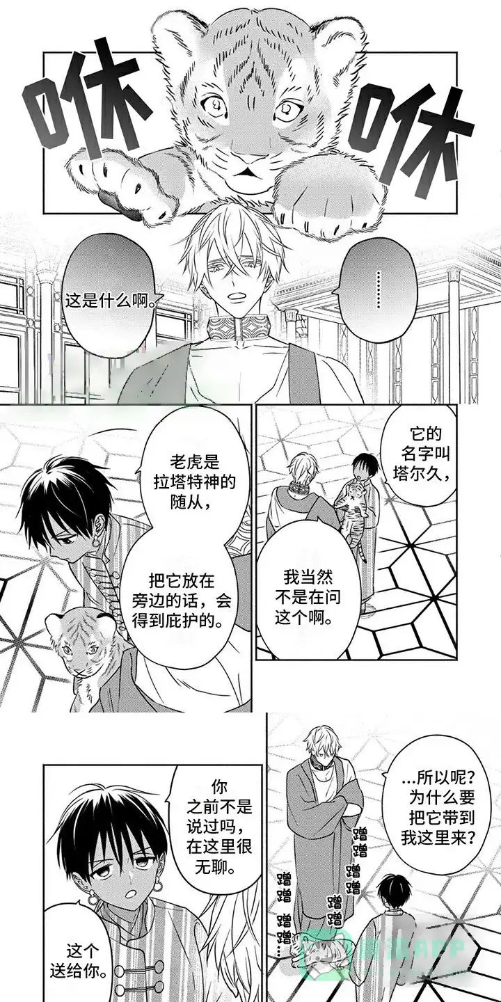 《欧米伽王后》第6话 第1页