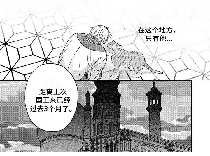 《欧米伽王后》第7话 第7页