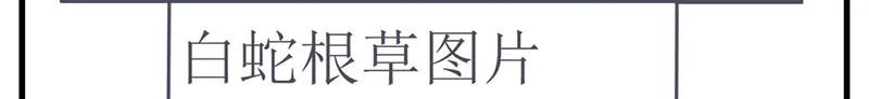 《欧米茄档案》File.01 最不合理之案3 第11页