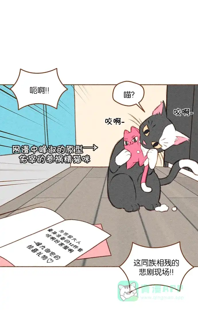 《噢！御宅女的罗曼史》[第二季] 第5话 也许是成粉（成功的粉丝）! 第1页