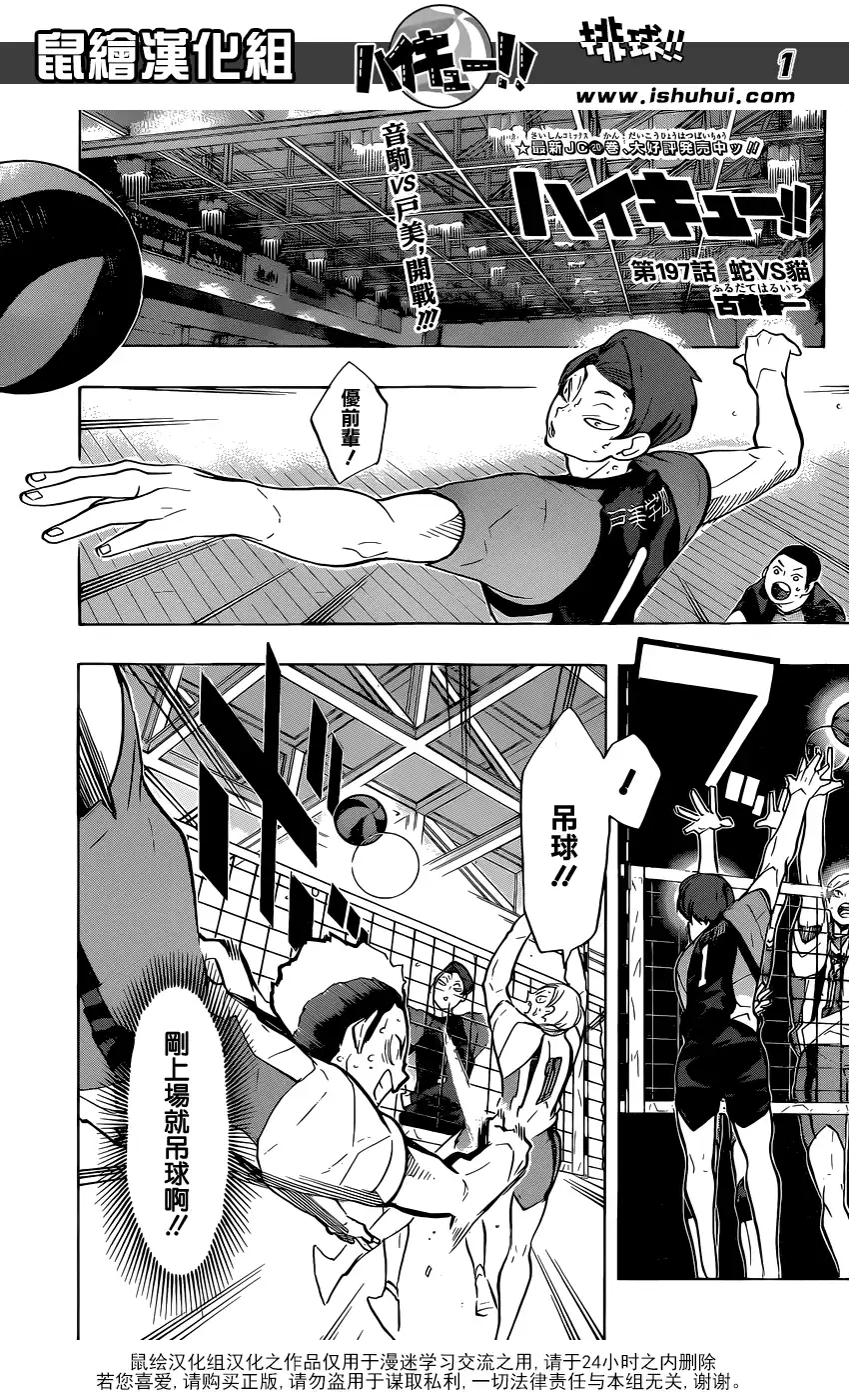 《排球》第197话 蛇vs猫 第1页
