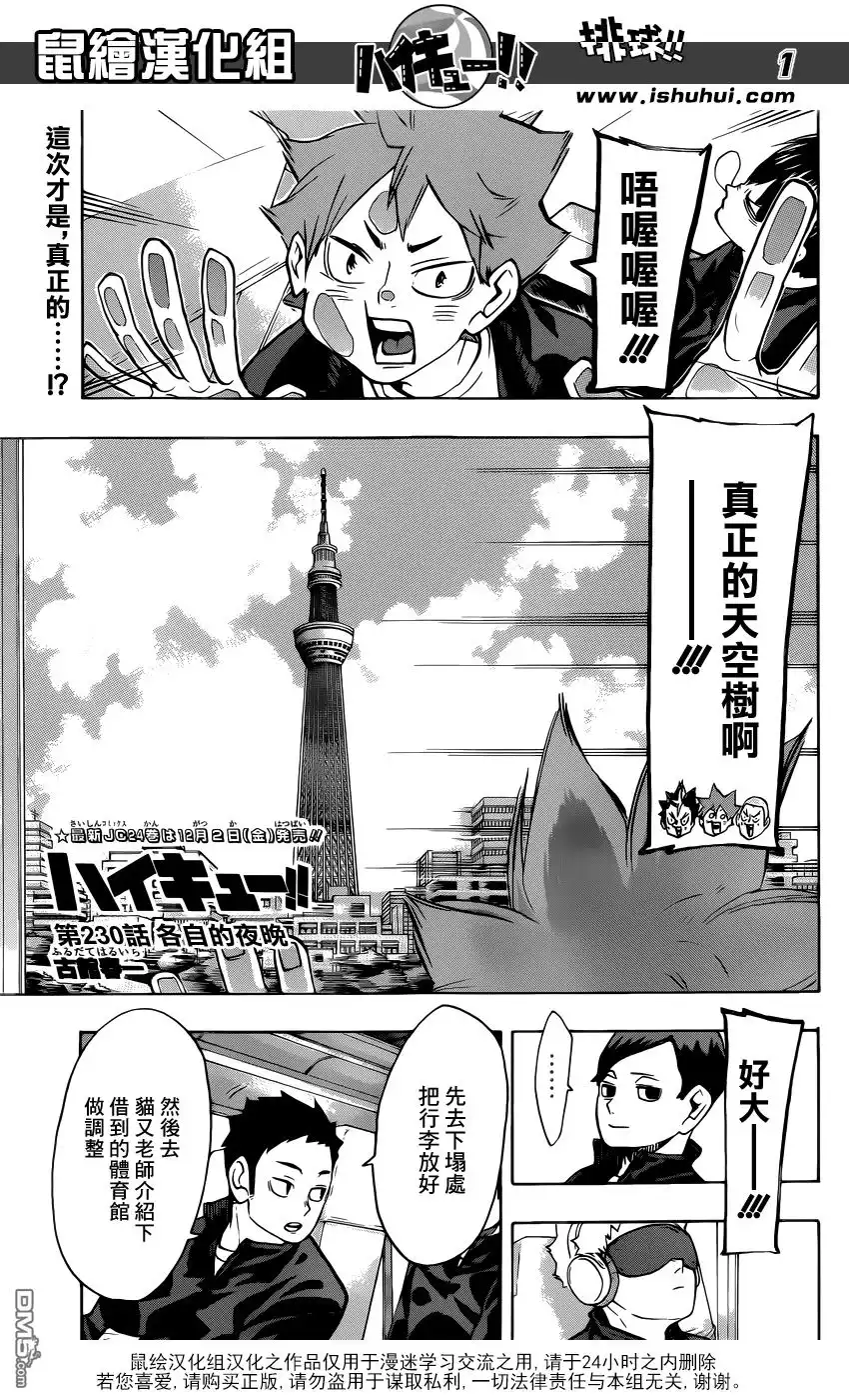 《排球》第230话 各自的夜晚 第1页