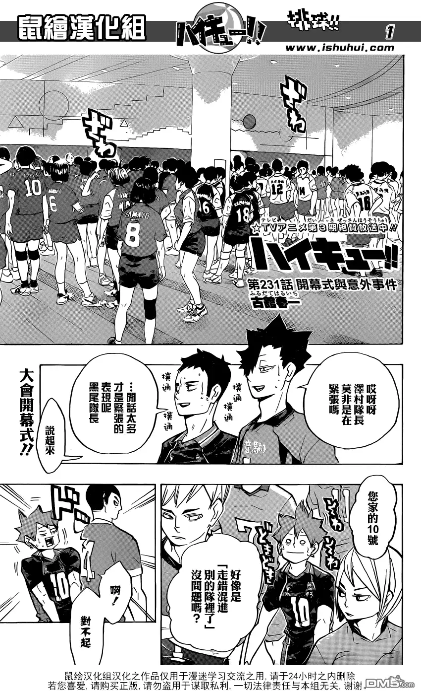 《排球》第231话 开幕式与意外事件 第1页