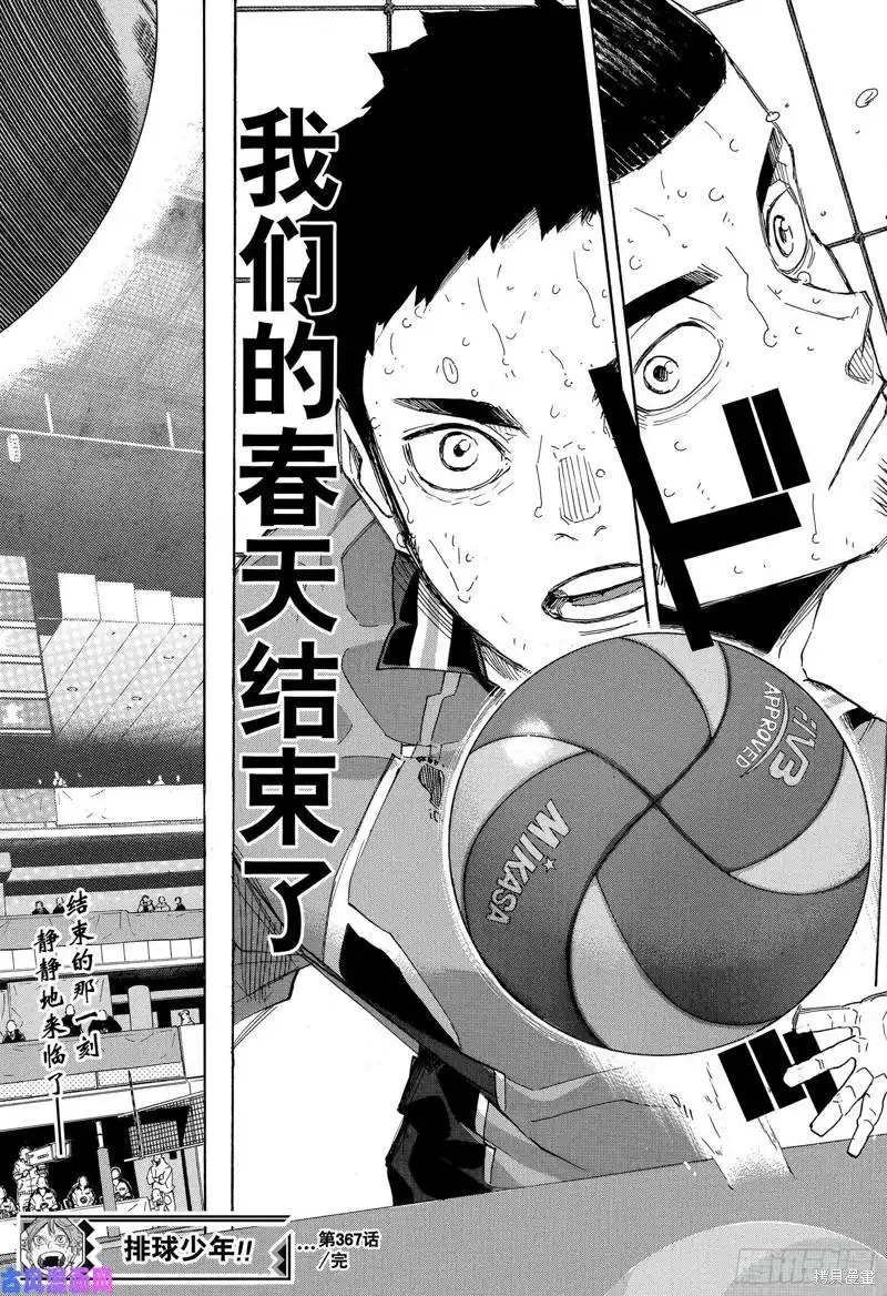 《排球》第367话 我们的春季结束了 第20页