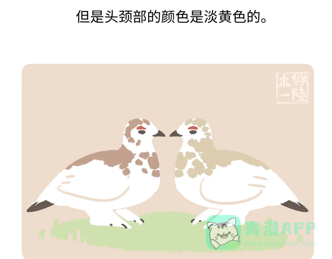 《胖达x胖达》第283话 第21页