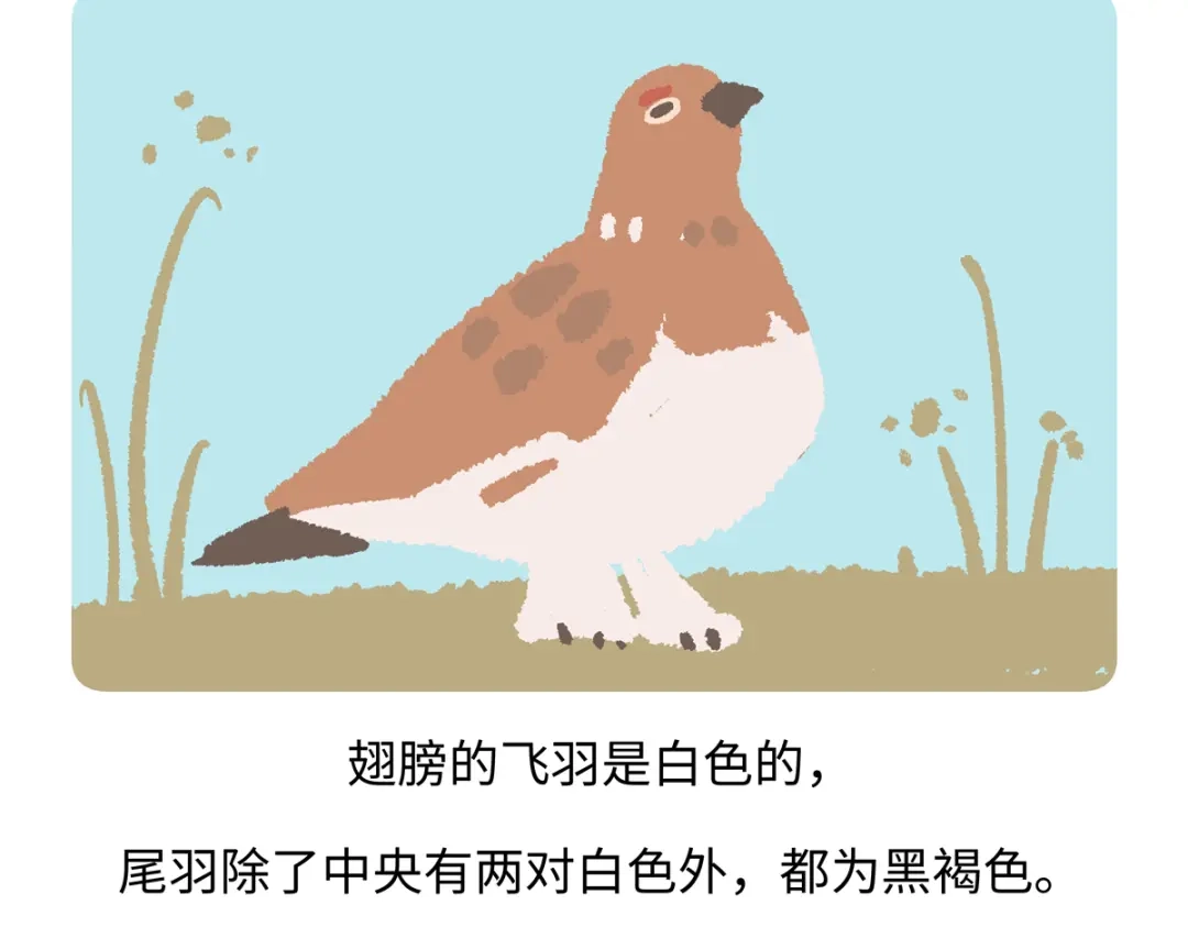 《胖达x胖达》第283话 第25页
