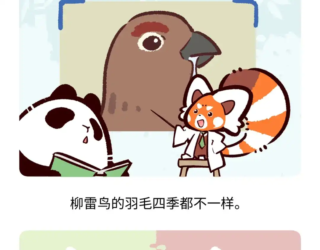 《胖达x胖达》第283话 第18页