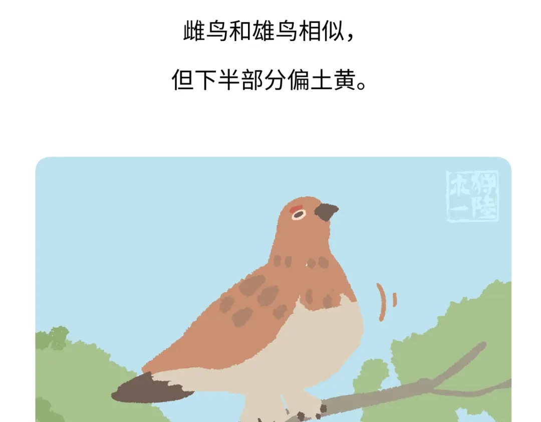《胖达x胖达》第283话 第27页