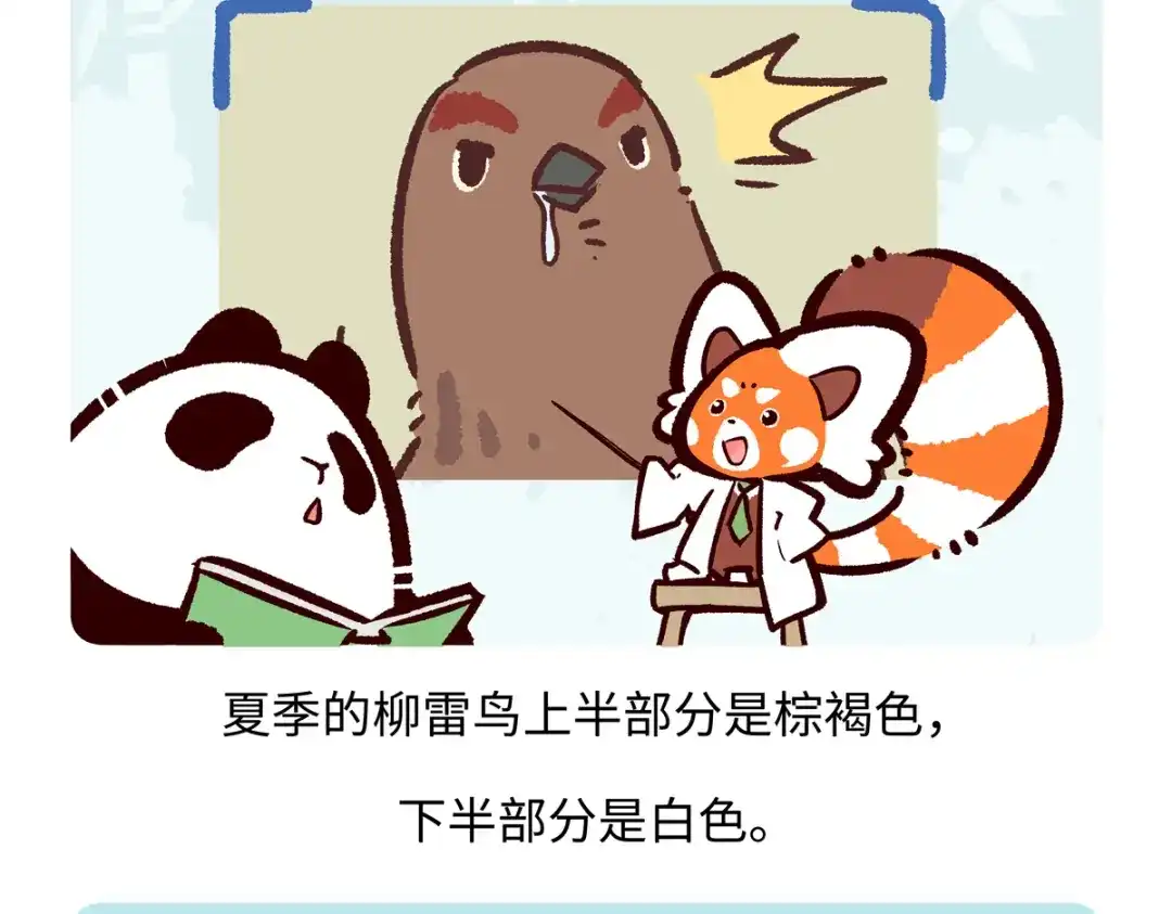 《胖达x胖达》第283话 第24页