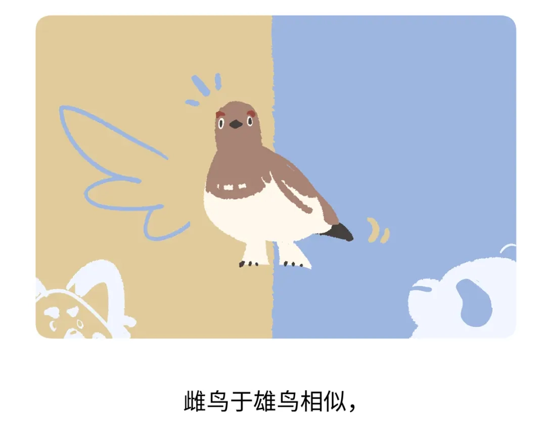 《胖达x胖达》第284话 第22页