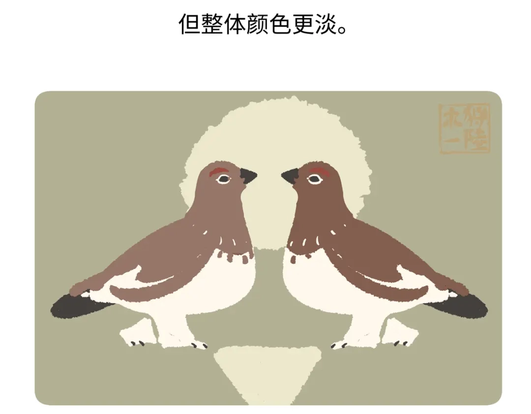 《胖达x胖达》第284话 第23页