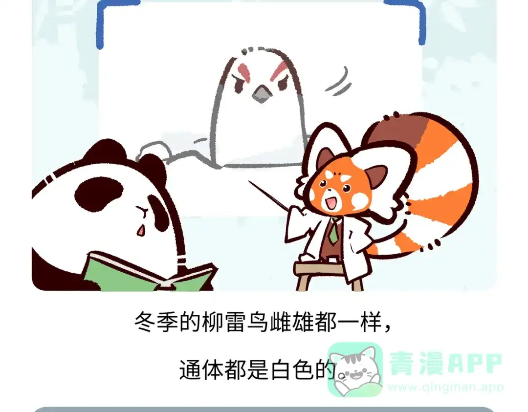《胖达x胖达》第284话 第26页