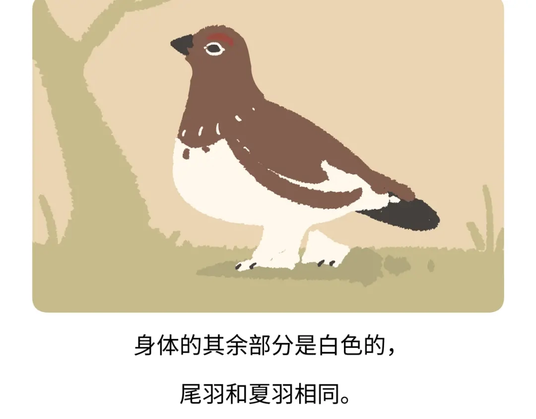 《胖达x胖达》第284话 第20页