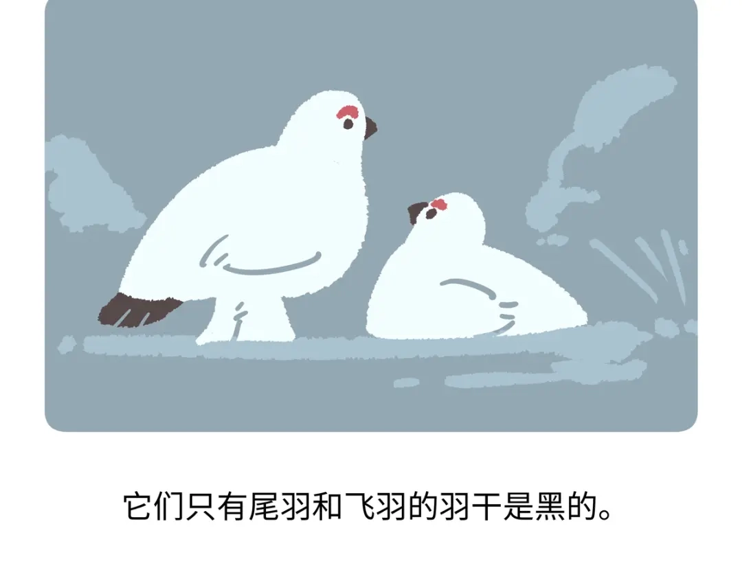 《胖达x胖达》第284话 第27页