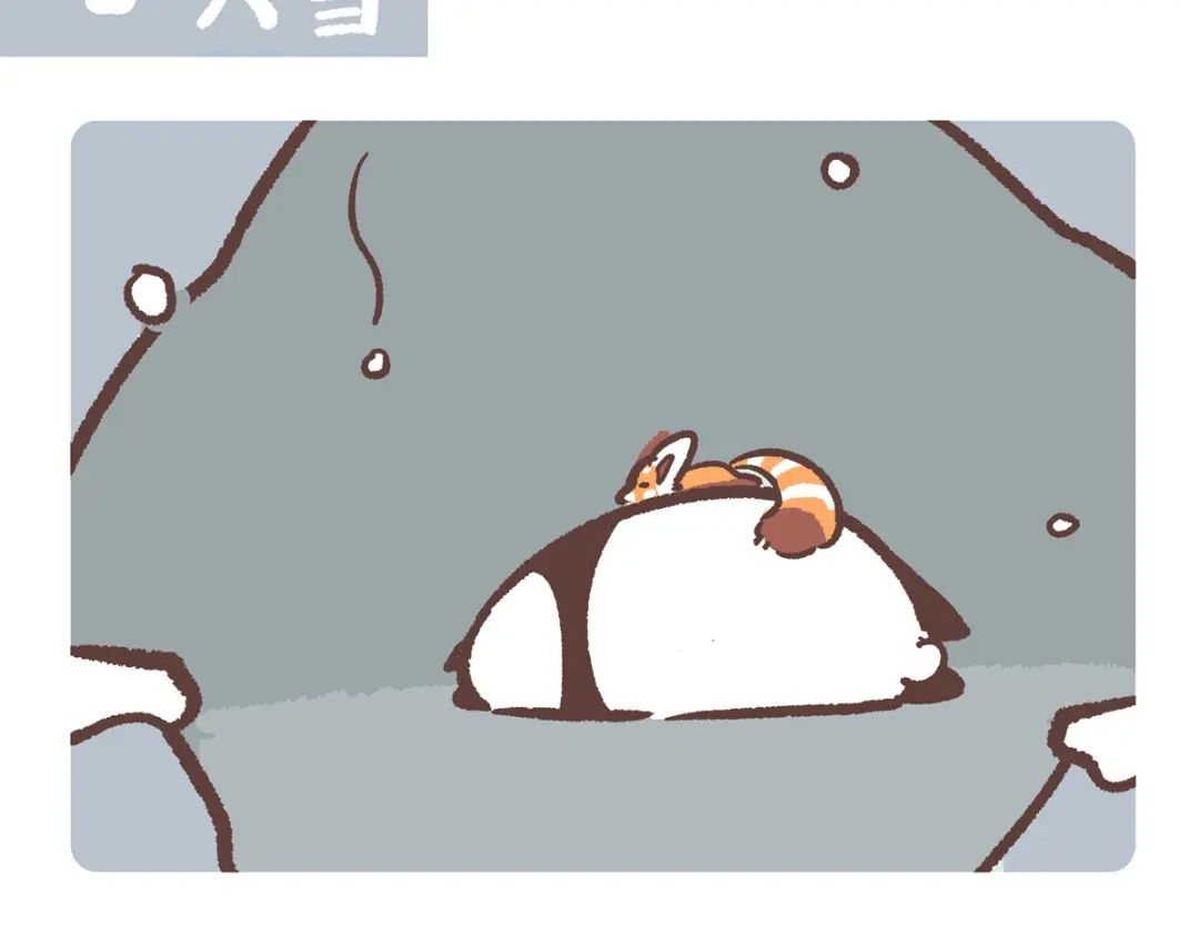 《胖达x胖达》第284话 第2页