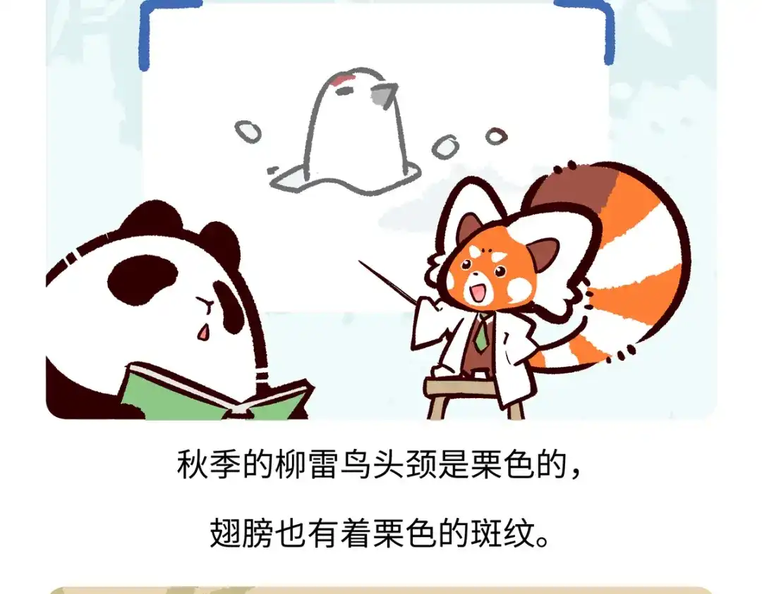《胖达x胖达》第284话 第19页