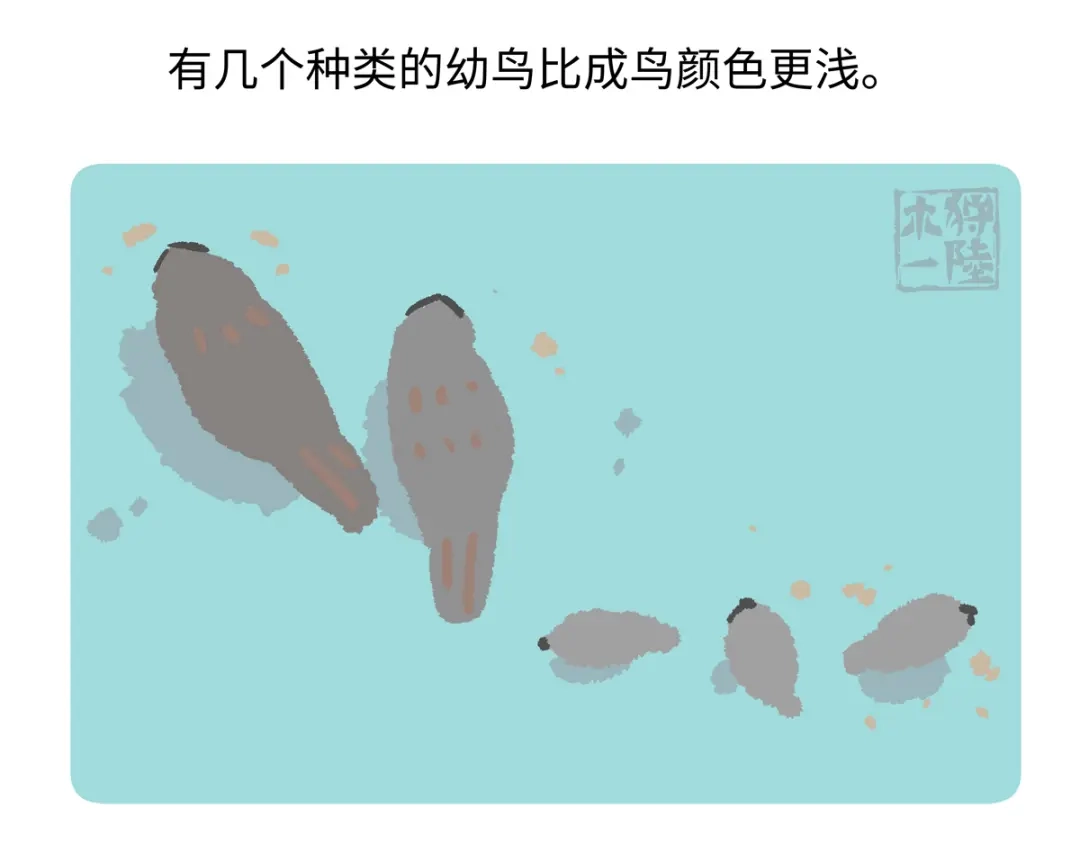 《胖达x胖达》第285话 第22页