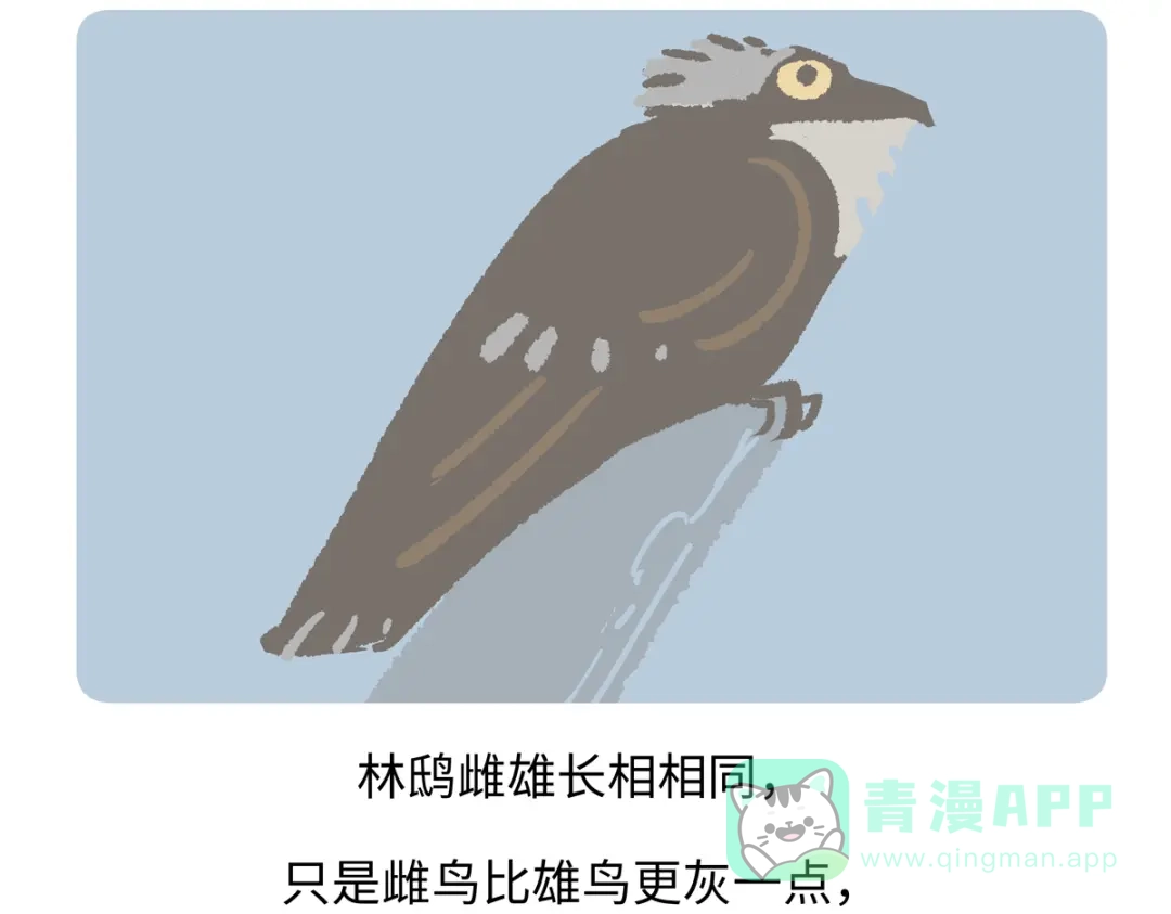 《胖达x胖达》第285话 第21页