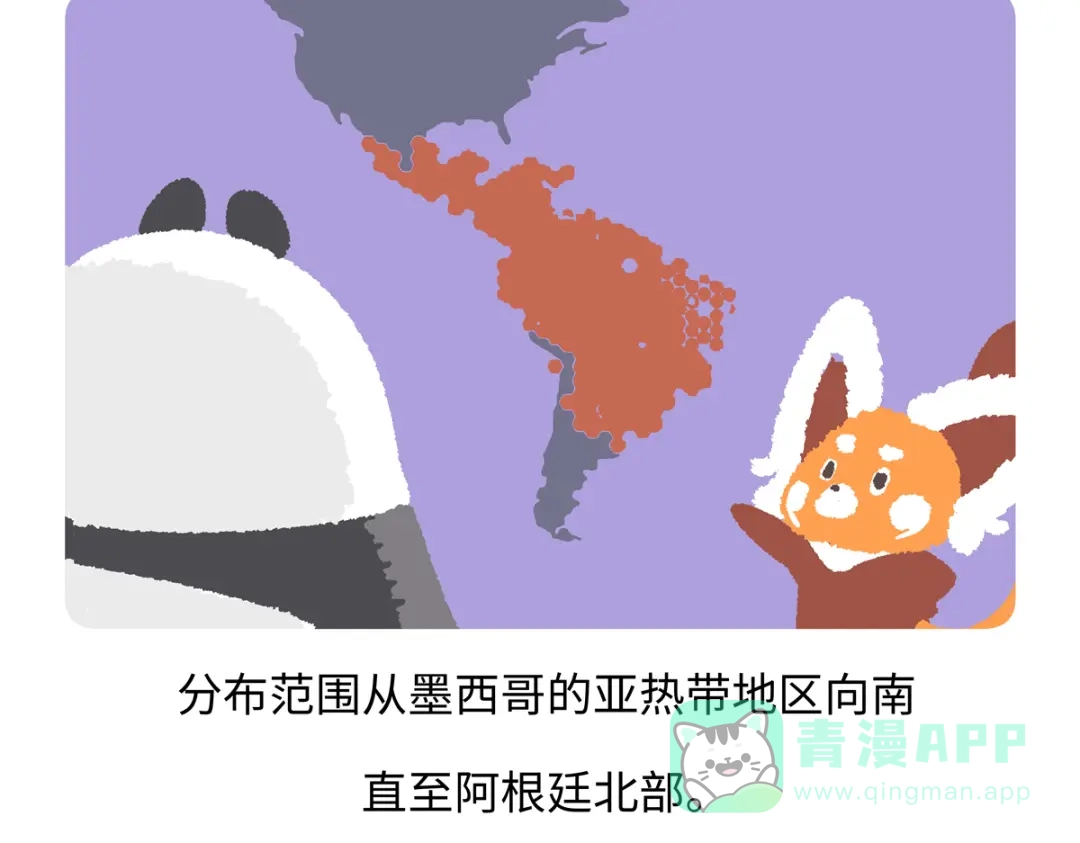 《胖达x胖达》第285话 第26页