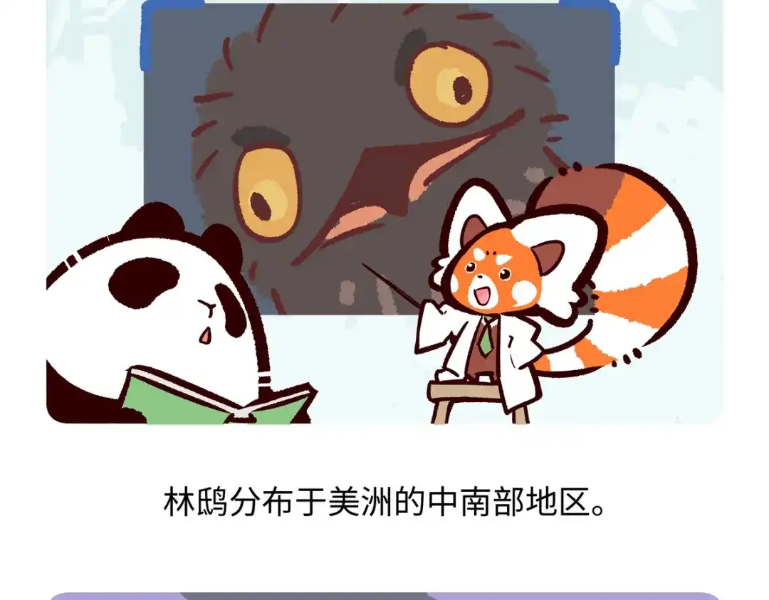 《胖达x胖达》第285话 第25页