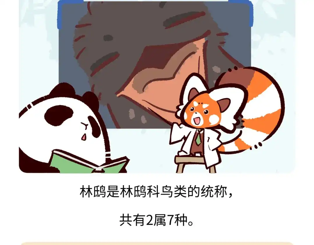 《胖达x胖达》第285话 第18页