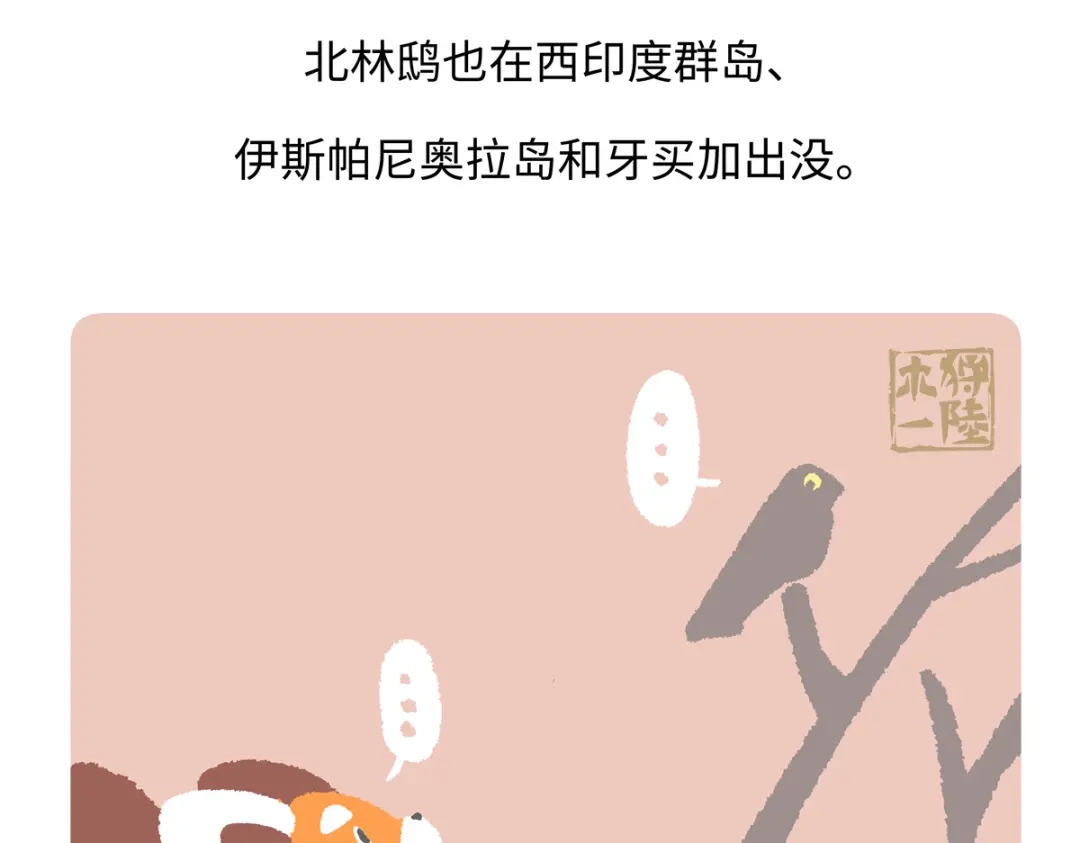 《胖达x胖达》第285话 第28页