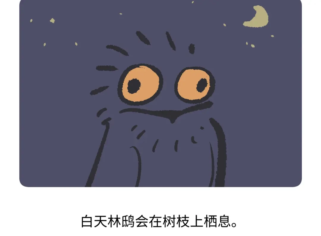 《胖达x胖达》第286话 第19页