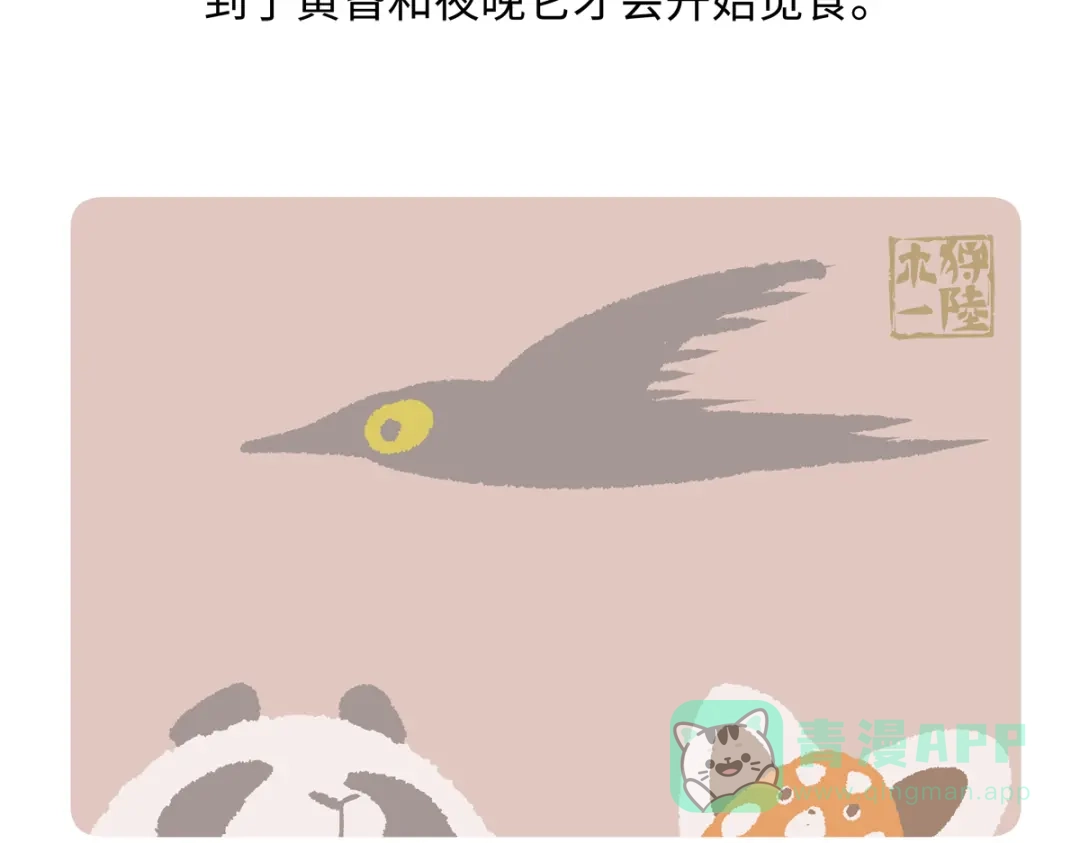 《胖达x胖达》第286话 第21页