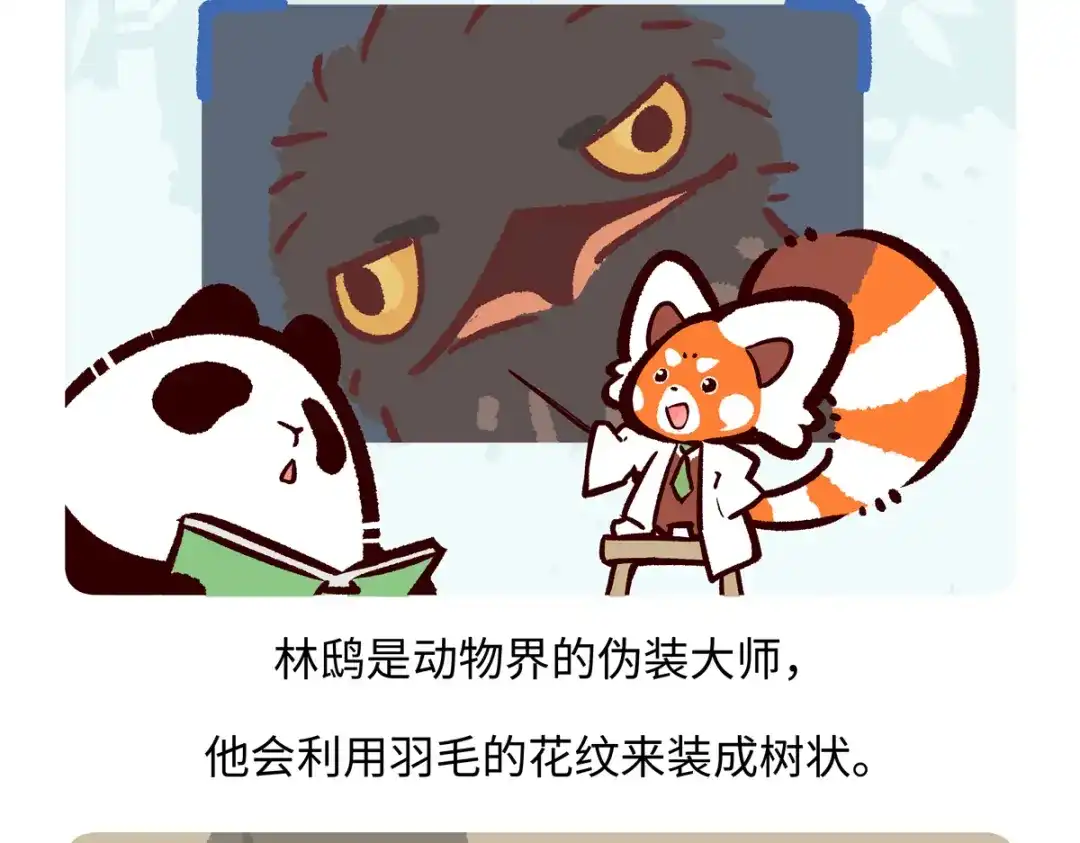 《胖达x胖达》第286话 第24页
